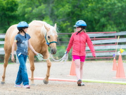 Learning with horses